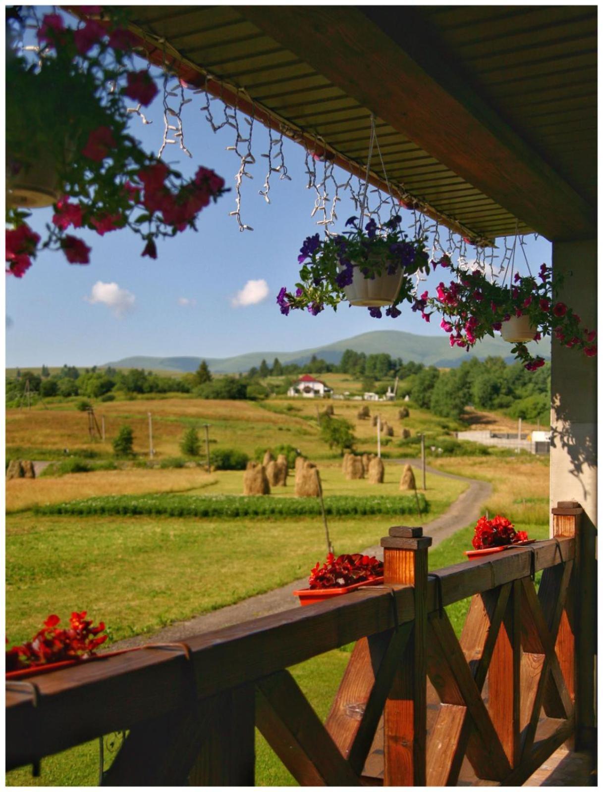 Карпатські Зорі Pilipets Quarto foto